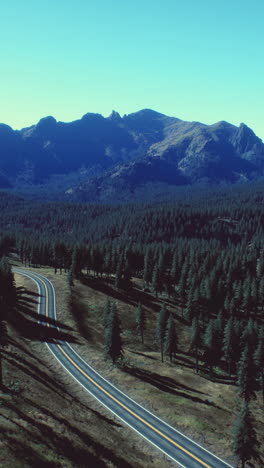 winding road through forest and mountains