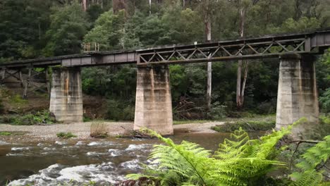 flowing water along the thompson river in gippsland, victoria