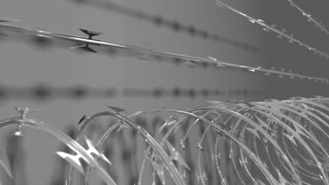 Razor Wire Loop 01