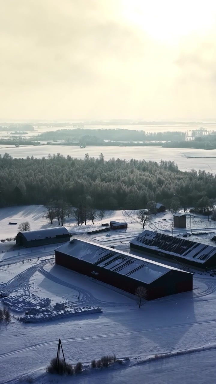 Sněhem pokryté zemědělské budovy obklopené ojíněnými stromy a poli. Zimní slunce vrhá dlouhé stíny po krajině. Ideální pro sezónní nebo venkovské projekty.