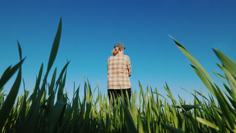 Una-Agricultora-Está-Sola-En-Un-Campo-De-Trigo-Verde-Vista-Desde-Atrás