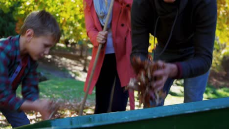 Happy-family-picking-dead-leafs