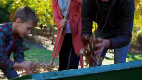 familia feliz recogiendo hojas muertas