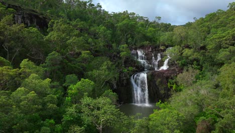 soleado cedro arroyo cae cascada proserpino temporada de lluvias qld australia vista aérea de drones islas whitsundays puerto de airlie playa cielo azul mañana conway bosque reserva de palmeras lentamente hacia arriba