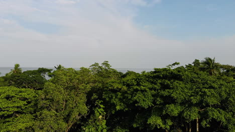 Vista-Aérea-Del-Bosque-Y-El-Océano-En-La-Isla-Gorgona