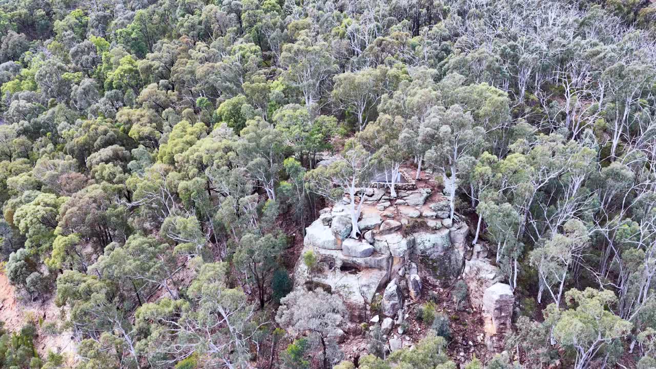 Drone camera glides above a rocky formation surrounded by dense eucalyptus forest in Warrumbungle National Park, under soft natural daylight with steady movement