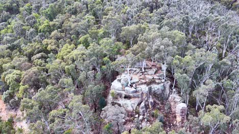 drone camera glides above a rocky formation surrounded by dense eucalyptus forest in warrumbungle national park, under soft natural daylight with steady movement