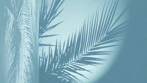 a palm leaves shadow on blue background wall with copy space