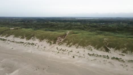 a high-altitude drone orbits to the right, starting with a view towards the dunes at hvide sande beach and gradually revealing the gras covered dunes as it turns, capturing a dramatic landscape