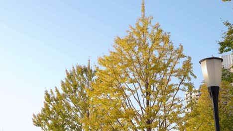 Die-Besten-Aussichten-In-Tokio