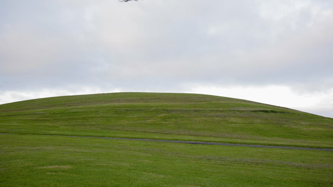 뉴질랜드 cleann backgroud에서 공원에서 녹색 언덕