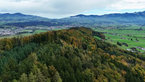 Drohnenflug-über-Wald-In-Tuggen,-Schweiz.