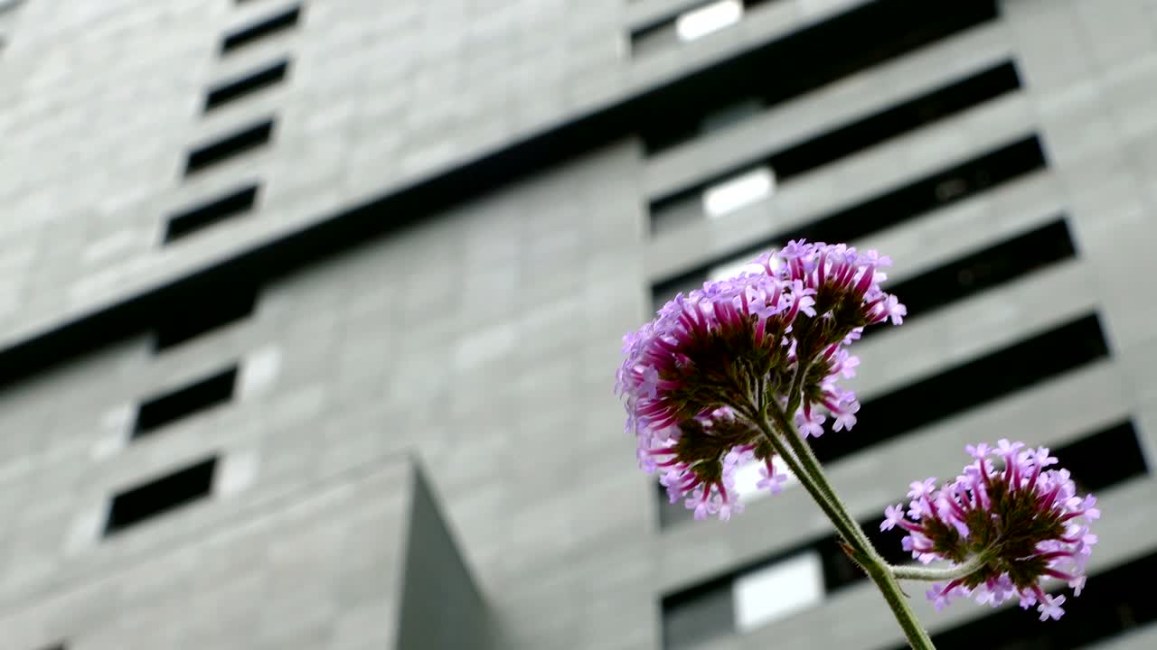 지속가능한 도시