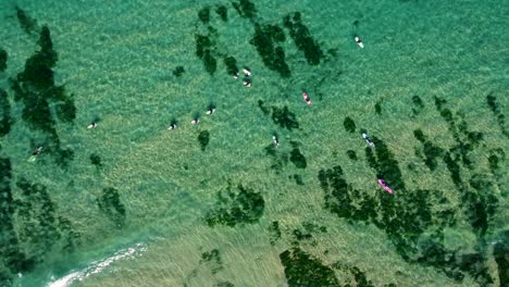 Aerial-drone-shot-of-clear-water-surfers-surfing-surfboarf-ocean-reef-sand-bar-algae-beautiful-swimming-paddle-beach-Merewether-Bar-Beach-NSW-Newcastle-4K-Australia