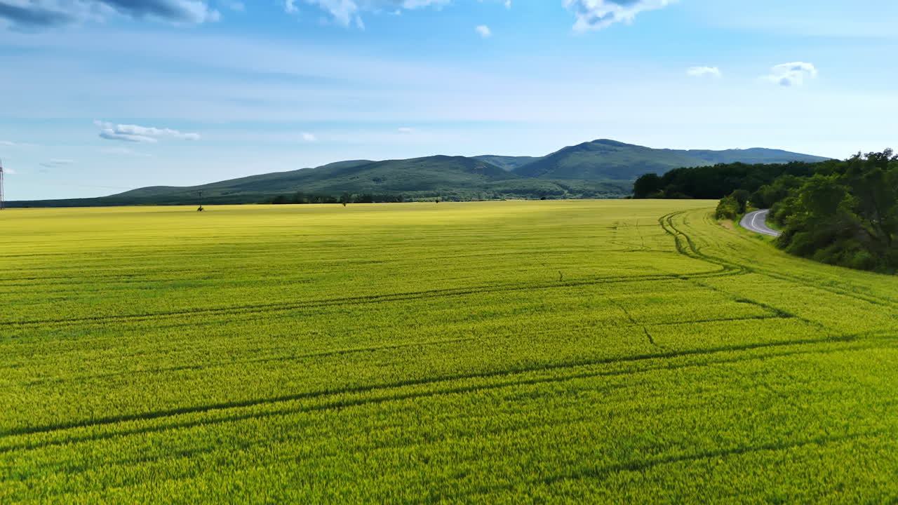 Green fields and hills, blue sky. Vast green fields stretch across the landscape, with gentle hills in the background and a clear blue sky above