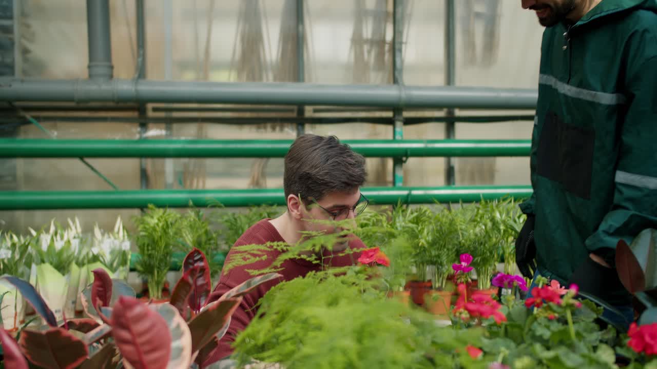 comprar flores con el experto: un viaje de selección y satisfacción