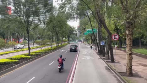 driving through a tree-lined avenue in mexico city