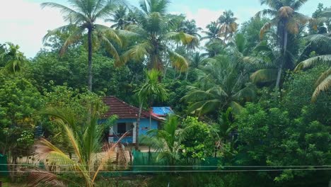 aerial view of a rural house in asia , a small house standing among coconut trees and plants , a small local stream flows in front of the house