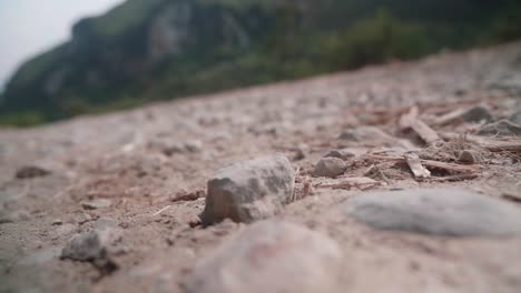 detalle de una bota de senderismo pisando un terreno rocoso