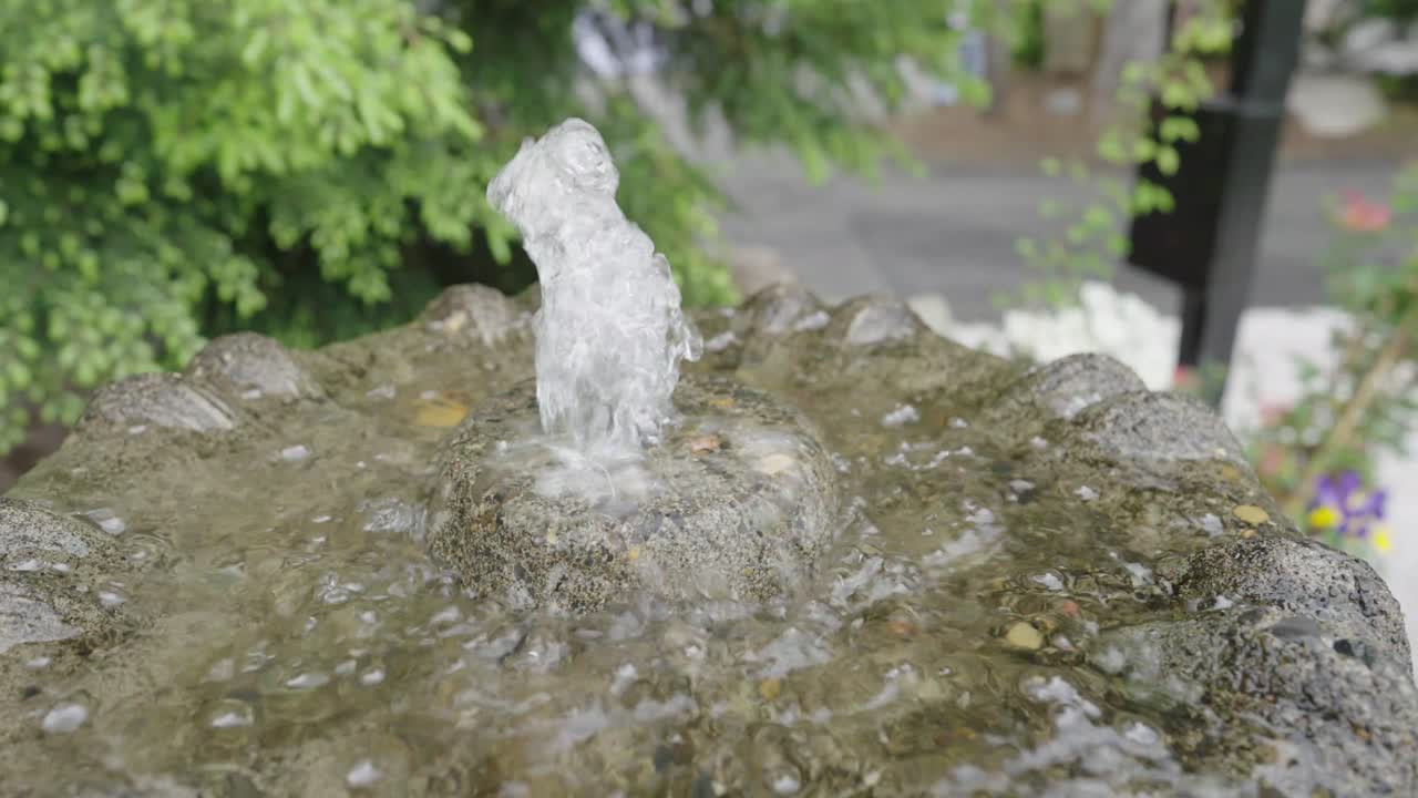 분수를 확대합니다. 느린