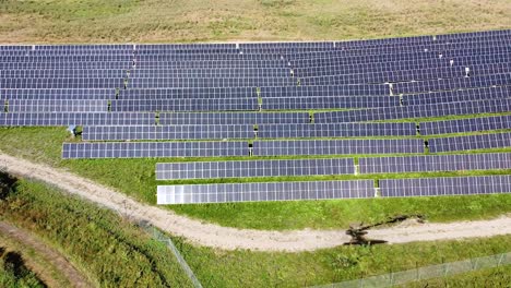 sun reflecting of blue solar panels in green meadow, aerial ascend view