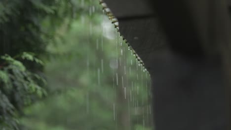 rain dripping off of roof - lake house inn, perkasie, pa