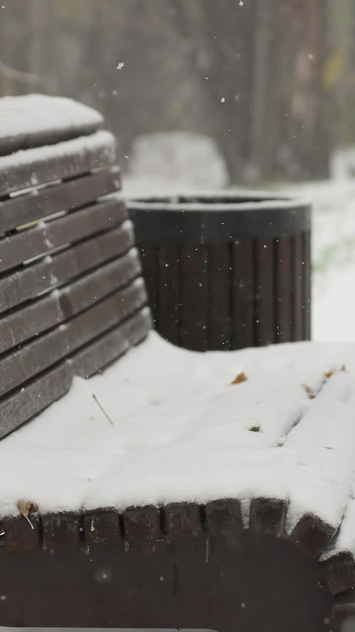 눈이 인 공원의 눈 인 벤치에 놓기 위해 기타 을 제거하는 여자의 부분적인 시각, 먼 배경에서 흐릿한 인물들이 산책하며, 얼음 나무와 평온한 겨울 분위기로 둘러싸여 있습니다.