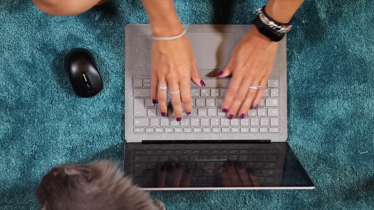 Young woman working on the laptop on the floor of her room with her furry friend gray cat. High angle shot
