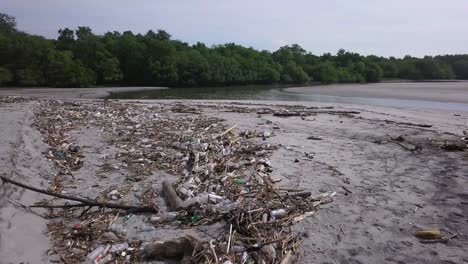 trash polluting a beach with many plastic bottles and other waste - dolly in