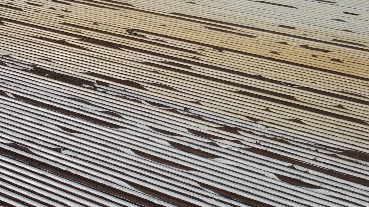 una foto de un dron de un gran campo de espárragos en los países bajos creando interesantes líneas simétricas