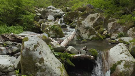 rocas cubiertas de musgo en agua pura del río mt daisen, japón