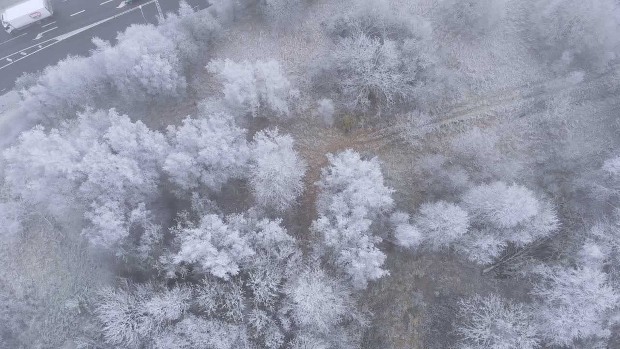 Vinterlige, snedækkede træer ved motorvejen - Luftfoto ovenfra.