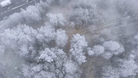 wintry snow-covered trees by freeway interstate road - aerial top view