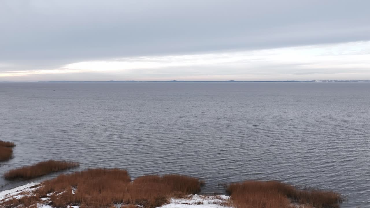 Panoramic view of the Curonian Lagoon coast, swampy and overgrown with grass and reeds. wintertime. Europe Lithuania.