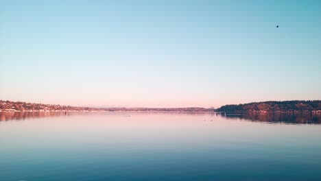 bird lands in lake washington state during sunrise still shot