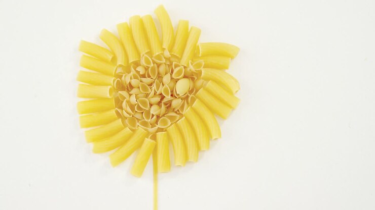 Various pasta arranged in sunflower shaped on white background