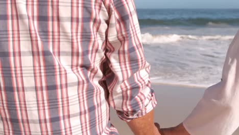 elderly couple holding hands on the beach