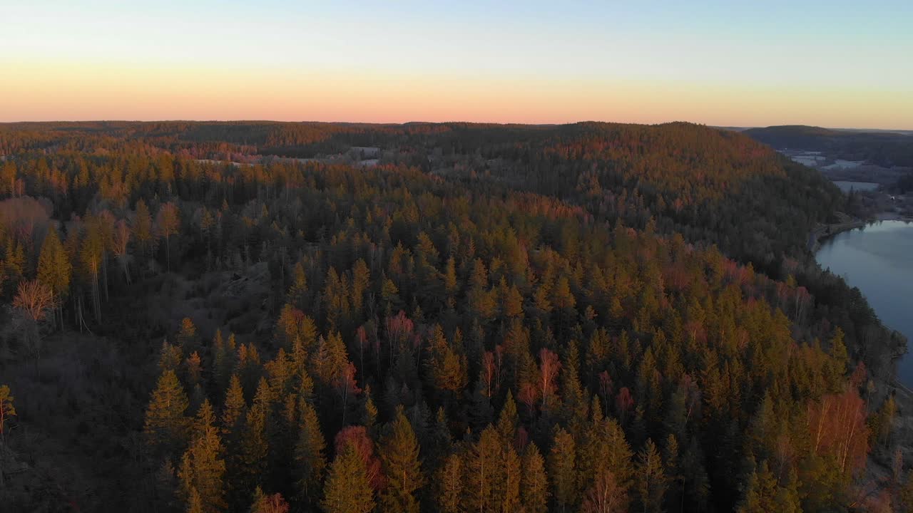 hermosa y relajante vista aérea del bosque sueco de finales de otoño con un cielo colorido en el fondo