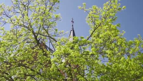 Tilting-up-in-front-of-a-Milton-church-steeple-with-green-trees-in-front-on-a-sunny-summer-day