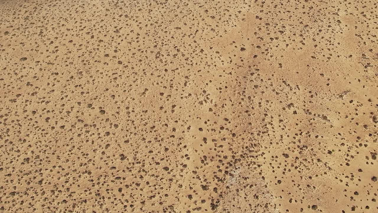 Exploration of fuerteventura's unique landscape with volcanic formations