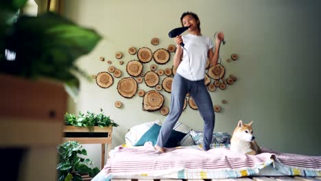 joyful young woman is dancing on bed and singing in hairdryer enjoying favourite music while her cute shiba inu dog is lying on bed and looking at its owner.