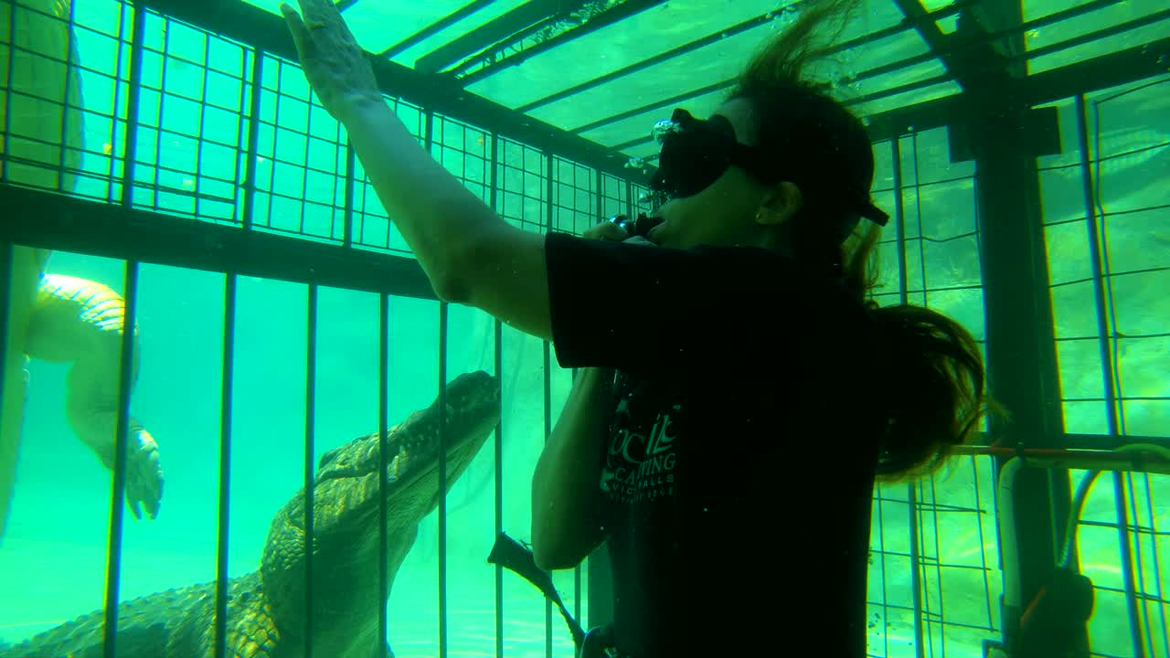 짐바브웨 아프리카 2의 잠베지 강에서 아프리카 악어와 함께 여성 케이지 다이빙