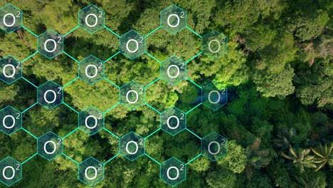 Sauerstoff-Sauerstoffwächter,-Der-über-Den-Bäumen-Im-Wald-Erscheint