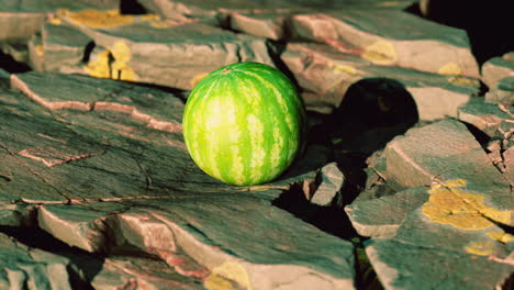 bayas de frutas de sandía en piedras rocosas