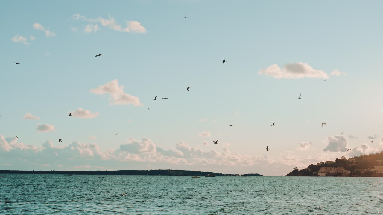 Row of tall palm trees standing against a dramatic sky filled with large clouds