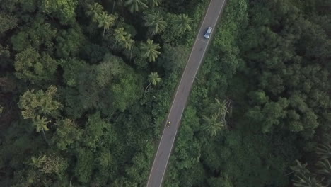 vertical aerial looks down onto paved road traffic in lush palm jungle