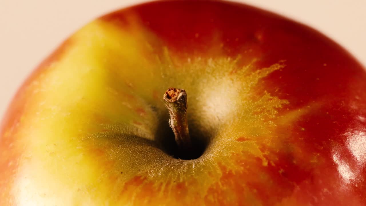 Product shot of the top of an apple and stem