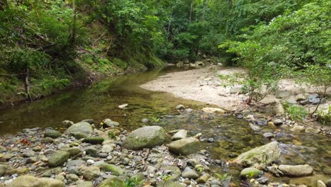 Piedras-Y-Arroyo-En-El-Bosque-Tropical-Cerca-De-Santa-Marta,-Magdalena,-Colombia