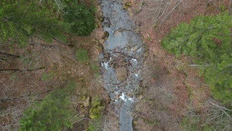 Descripción-Estática-A-Vista-De-Pájaro-Del-Río-Que-Fluye-Con-Ramas-Rotas-Y-Rocas-En-El-Agua