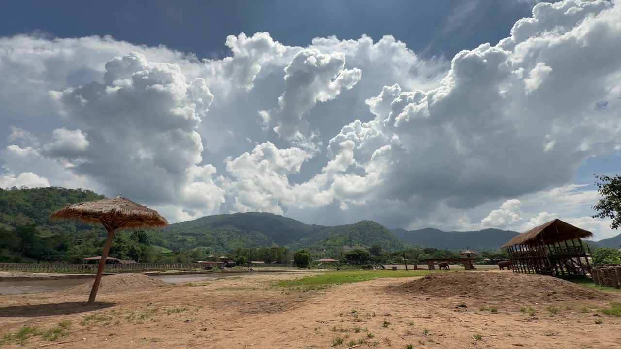 Imagens de elefantes asiáticos resgatados vivendo livremente no Elephant Nature Park em Chiang Mai, Tailândia, promovendo turismo ético, conservação e bem-estar animal.